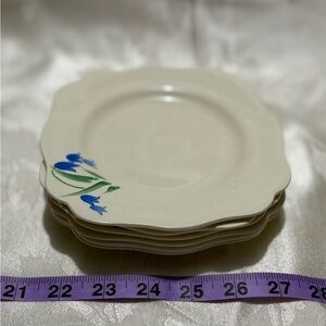 Vintage Set of 6 Hand Painting Luncheon Plates